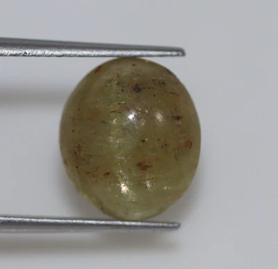 8.69 Ct Natural Green Cat’s Eye Chrysoberyl CERTIFIED Loose Gemstone 12x10 mm - Image 1 of 4