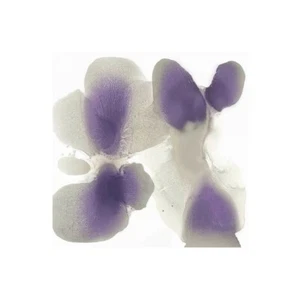 Impresión En Lienzo En Papel Póster O Cuadro Carlson Hannah Essential - Imagen 1 de 2