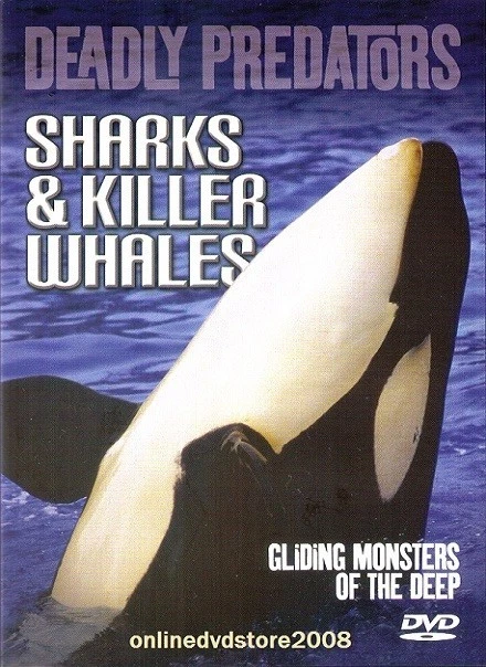 DEADLY PREDATORS SHARKS & KILLER WHALES - Gliding Monsters of the Deep - DVD - Image 1 of 1