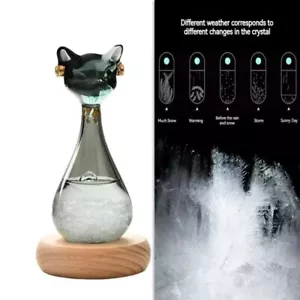 Storm Glass Weather Station Weather Predictor Forecaster Bottle with Wood Base - Picture 1 of 19