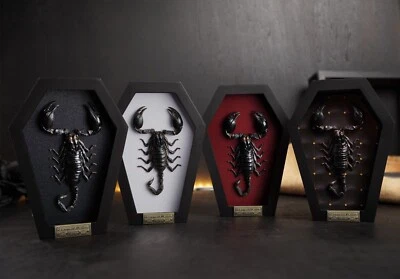 Real Scorpion Coffin Frame Art Gallery Collection Curiosities And Oddities Decor - Изображение 1 из 3