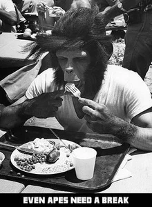 Anche le scimmie hanno bisogno di una pausa 1968 Il pianeta delle scimmie Hollywood foto storiche 22x30 - Foto 1 di 1