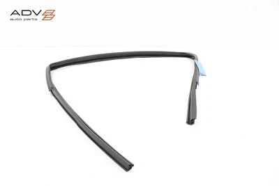 Nissan Titan 2019-2024 puerta delantera derecha ventana cristal canal de funcionamiento sello OEM Foto 1 de 4