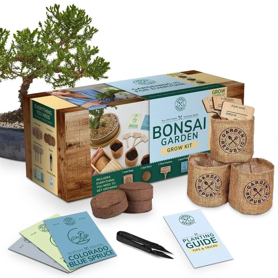 Garden Republic Medium Bonsai Tree Kit, Grow 3 Mini Bonsai Trees, Indoor Plan... - Image 1 of 4