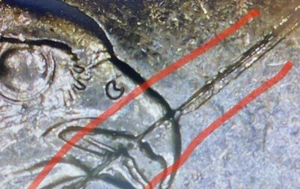 2007 Washington Quarter Strike Thru Debris Rim to Rim 25c Cent Idaho D Mint Coin - Picture 1 of 9