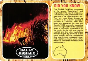 Bally Hooley Steam Express Sugar Cane Postcard Australia - Picture 1 of 2