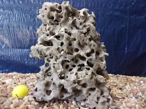 Texas/Tennessee Holey Rock, Aquarium, Fish Decorations, Honeycomb Limestone - Picture 1 of 5