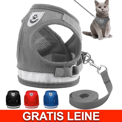 PARRADOR Hundegeschirr Brustgeschirr Katzen Hunde verstellbar Gr. S M L gepolstert Nylon