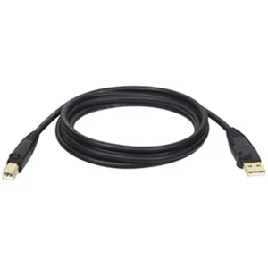 TRIPPLITE U022-010 A-Male to B-Male USB 2.0 Gold Cables 10-ft - Picture 1 of 1