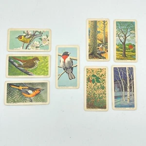 Lot 8 Cards 1968 Brooke Bond Canadian American Songbirds Trees of North America - Picture 1 of 8