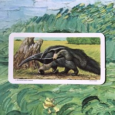 RED ROSE TEA CARD *V GIANT ANTEATER ANIMALS AND THEIR YOUNG 1990 No 9