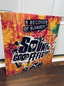5 Seconds Of Summer - Sounds Good Feels Good NEW Sealed Vinyl LP Album - Picture 1 of 2