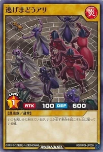 Yugioh Rush Duel RD/KP04-JP009 Ants Running About - Picture 1 of 2