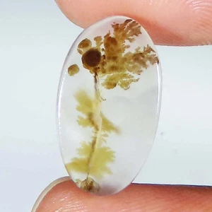 5.90 Cts Genuine Scenic Dendritic Agate Oval Cabochon Gemstone 10x17x2 mm GIA_52 - Picture 1 of 7