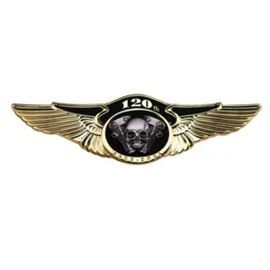 PRE OWNED HARLEY DAVIDSON USA motorcycle motor bike biker vest pin Motorcycle - Picture 1 of 4