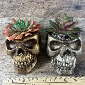 2 Halloween Skull Planters W/ Faux Succulents - Picture 1 of 6