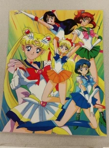 sailor moon poster 11x15 laminiert - Bild 1 von 1