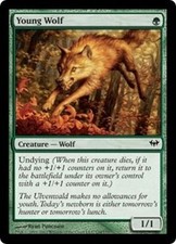 Young Wolf x4 Dark Ascension MtG NM