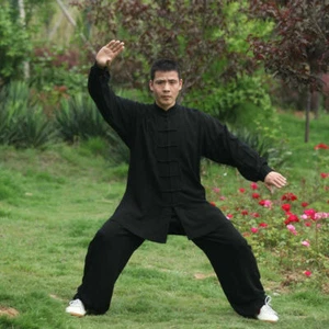 Men's Cotton Kung Fu Tai Chi Uniform Martial Arts Wushu Taiji Wing Chun Suit New - Picture 1 of 16