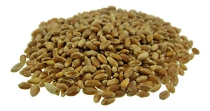 1,00 EUR / Kg TRIGO 25Kg trigo forrajero para mezcla de partículas y alimento alimentador - Imagen 1 de 1