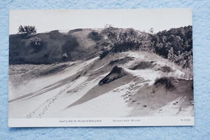 Nature's Playground - Duneland Study - Picture 1 of 2