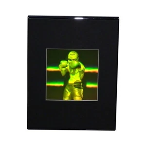 3D Boxer Multi-Channel Hologram Picture DESK STAND Photopolymer Type Film - Picture 1 of 7