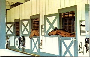 De colección Kentucky KY Postal Caballos en el Keep Programa de Educación Equina Lexington - Imagen 1 de 3