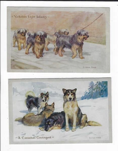 2 Breeds of Dogs Postcards by Eileen Hood Dogs from WWI p2015 - Picture 1 of 2