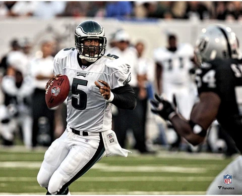 Donovan McNabb Philadelphia Eagles Unsigned Dropping Back to Pass 16 x 20 Photo Cover
