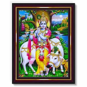 Lord Gopala Krishna Murali Gopal HD Printed Religious Picture With Wooden Frame - Picture 1 of 3