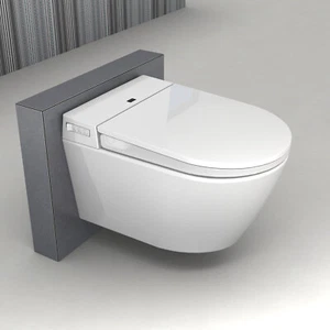  Dusch WC Gesäßdusche Sitzheizung & Sterilisator Spülrandloses BERNSTEIN 540 PRO - Bild 1 von 14