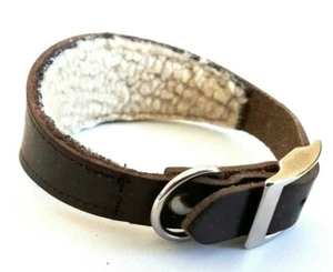 "CUERO ** WHIPPET ** CUELLO PEQUEÑO FORRADO DE LANA 12" (30CM) 13.5" (35CM)> - Imagen 1 de 3