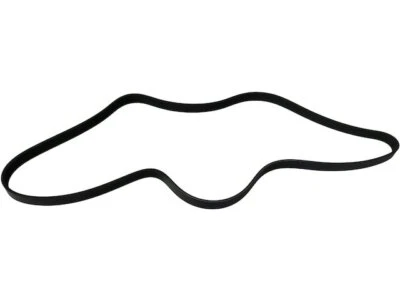 Cinturón multi costilla para Pontiac Firebird 1994-1997 38573BJ 1995 1996 5,7 L V8 gasolina Foto 1 de 2