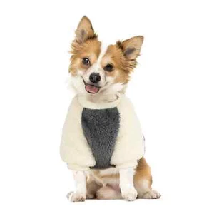 NAMSAN Winter Dog Sweater for Small Dog, Soft Stretch Pet Winter Warm Clothes, F - Picture 1 of 5