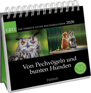 Postkartenkalender 2026: Von Pechvögeln und bunten Hunden Geo Kalender 53 S. - Bild 1 von 4