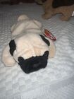 Vintage 1996 Rare Retired Ty Beanie Baby Pugsly The Pug Dog  With Tag Pvc Pellet