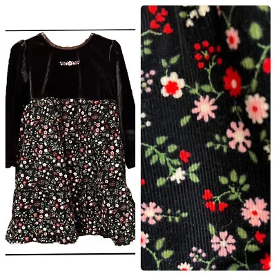 Hermoso! ¡Vestido de vacaciones con flores 4T! Top de terciopelo suave con escote con volantes transparentes Foto 1 de 4