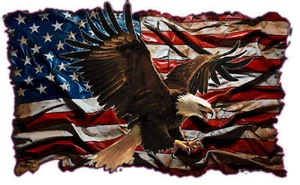 American flag Worn eagle soaring Patriotic decal - Picture 1 of 9