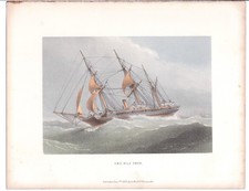 Colored Plate of the H.M.S. "Wild Swan" from "The Ships of the Royal Navy" 1885
