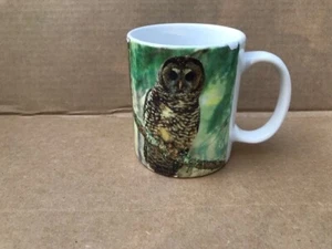 Three Owl Cups - Unused, From Collection - Picture 1 of 9