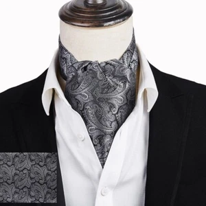 Juego de bufandas clásicas para hombre Ascot corbata corbata seda cachemira gris - Imagen 1 de 1
