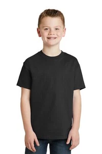 Hanes Youth 5450 Authentic 6oz 100% Heavy Cotton Plain Blank T-Shirt Tee - Picture 1 of 16