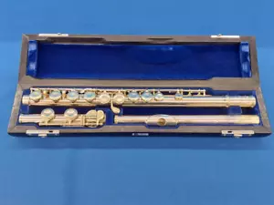 Muramatsu M-120 Silber gepflegte M120 Querflöte mit Hartschalenkoffer aus Japan - Bild 1 von 15