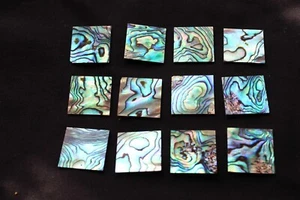 New Zealand Abalone Mother of Pearl Flat Square - Picture 1 of 1