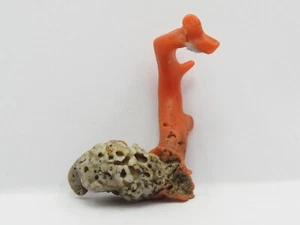 Natural Italian Red Coral Polished Rough Stick Gemstone For Jewelry - Picture 1 of 8