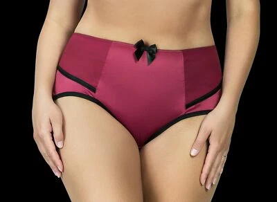 PARFAIT Charlotte 6917 Calzoncillo Cintura Alta Satén Panty 5 Colores XS-4X Lencería Foto 1 de 4