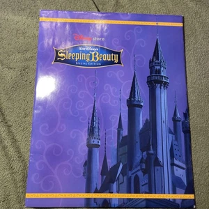 SLEEPING BEAUTY DISNEY STORE 2003 EXCLUSIVE COMMEMORATIVE 11"x14" LITHOGRAPH - Picture 1 of 5