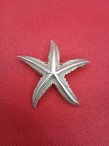 Broche prendedor vintage de plata de ley 925 con forma de estrella de mar 10 g - Imagen 1 de 4