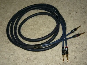 Emotiva 10 Ft. Speaker Cable - Picture 1 of 4
