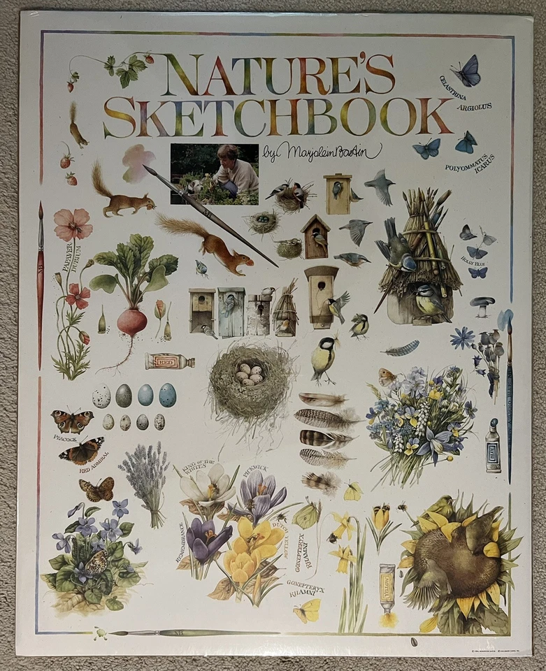 Vtg Hallmark Poster Nature's Sketchbook Marjolein Bastin 24x30 1994 Birds